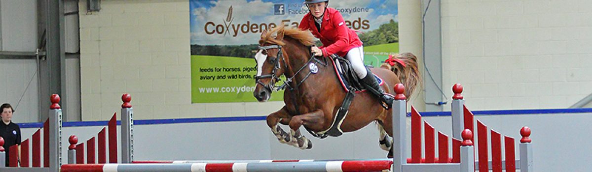 British Showjumping Category One & Pony incl. RHS Qualifiers