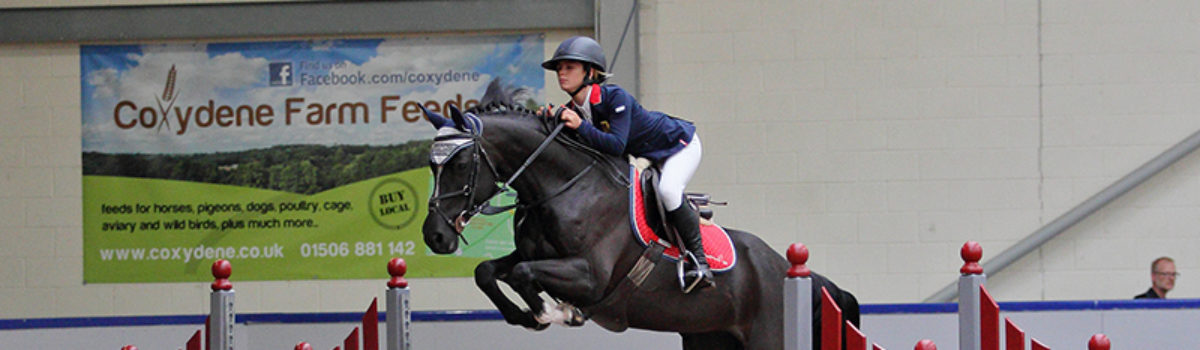 British Showjumping Pony incl. RHS Qualifiers